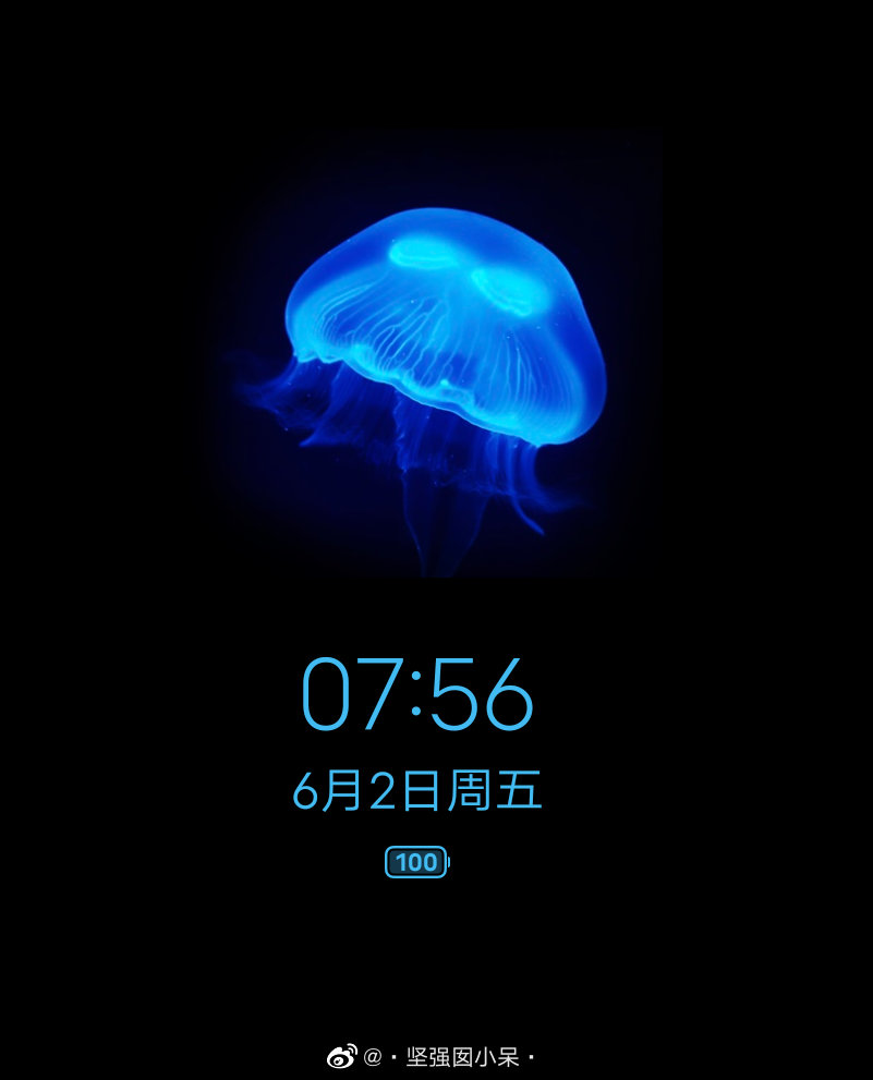 我其实是一只水母，只有装成人的模样社交！