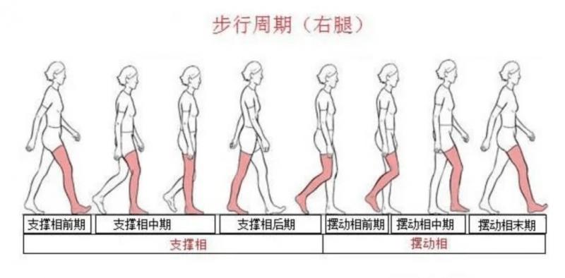 如何正确走路？看姿势就知道，你可能一直都在错误行走