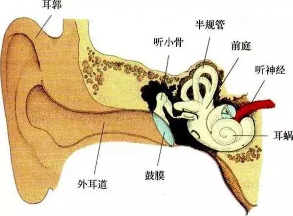有时会头晕眩晕的原因，内耳也玩失衡游戏