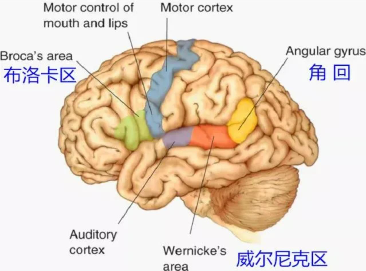 人在迷糊和酒醉的情况下会说胡话，这种时候怎么办？