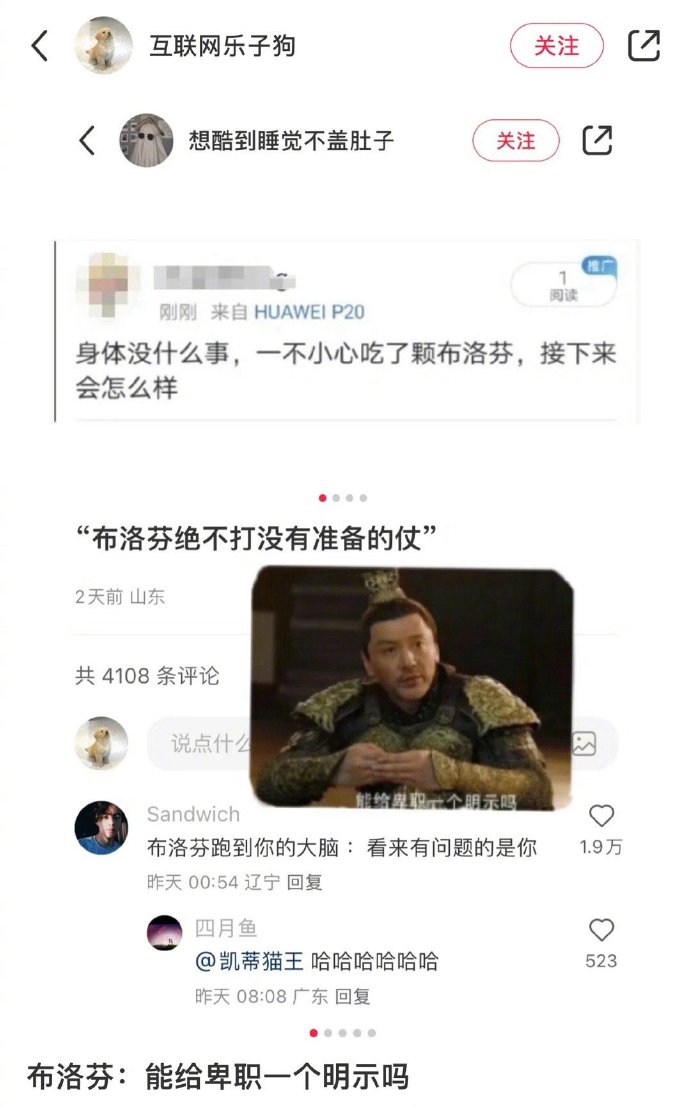 布洛芬喊话发烧友：能给卑职一个明示吗？