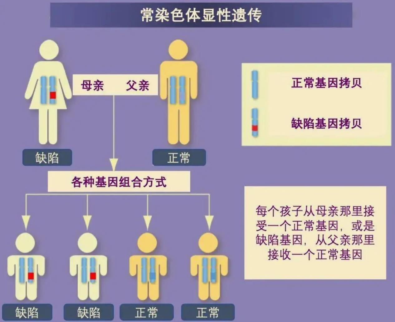 浙江一家8口确诊同种肠癌病：患罕见遗传病笼罩家族