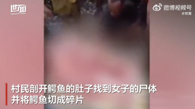 印尼一54岁女子被4米鳄鱼吃掉，下河洗澡时遭到袭击