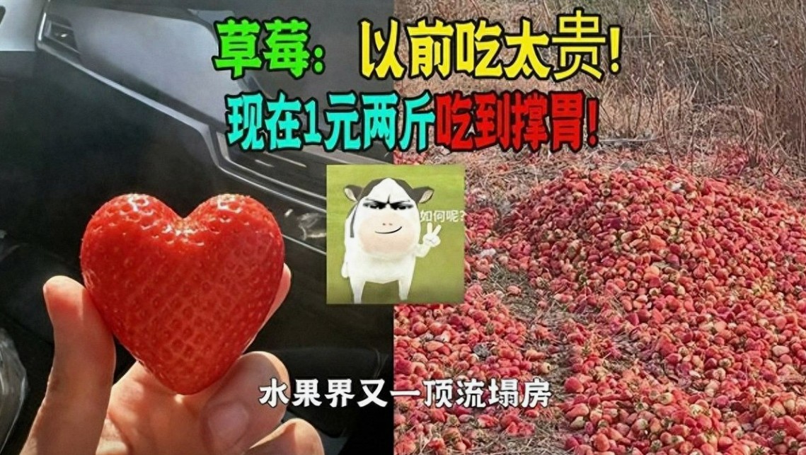 草莓命运大反转：武汉1元贱卖，辽宁360元天价，谁在操控？